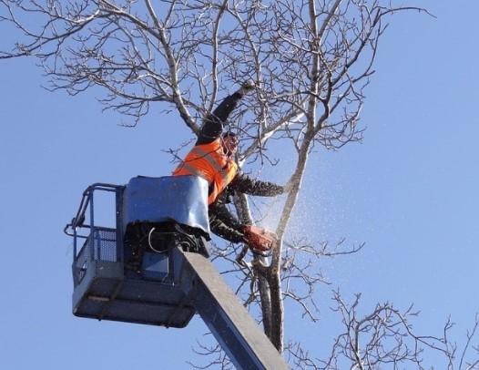 Beck Tree Service Inc