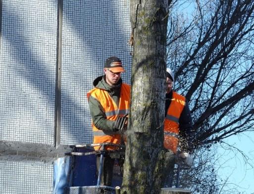 Beck Tree Service Inc
