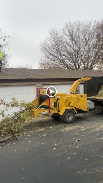 New Look Lawn & Tree Service