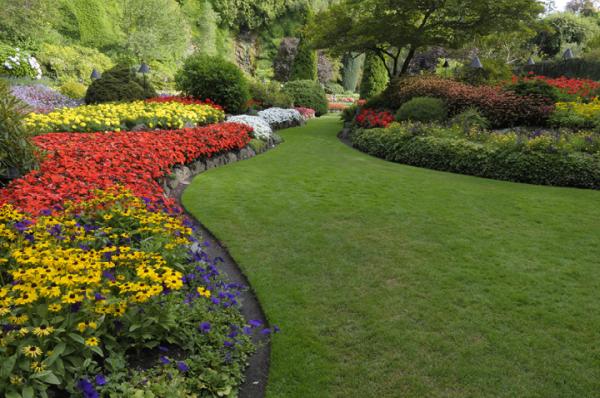 Dan Kane Landscaping & Lawn Service
