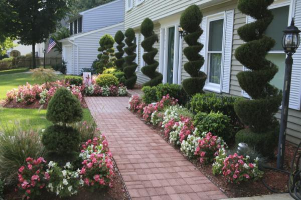 Dan Kane Landscaping & Lawn Service