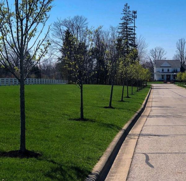 Colonial Landscaping