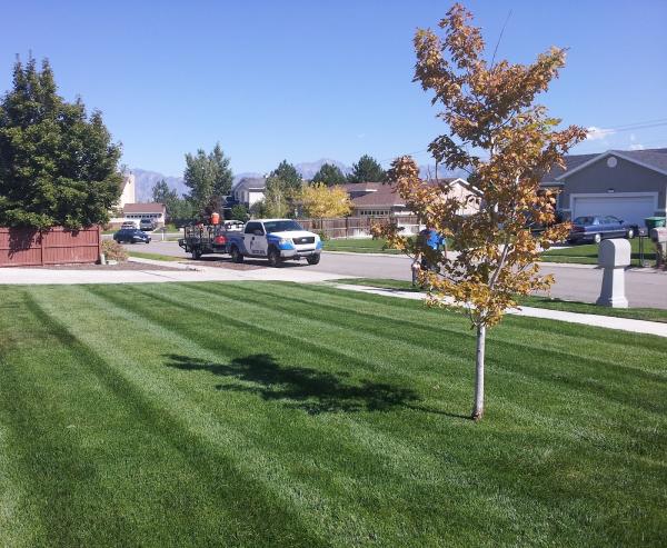 Holmes Lawn & Pest