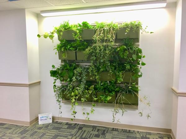 Great Growin's