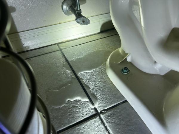Highbury Home Inspection