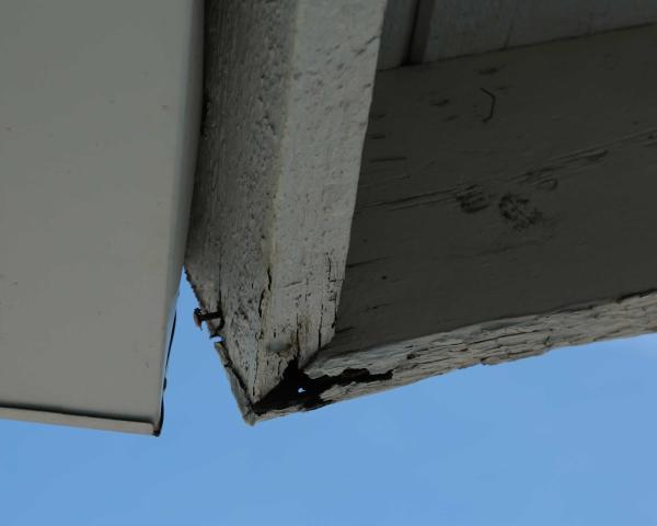 Sentry Termite & Pest Control Inc.