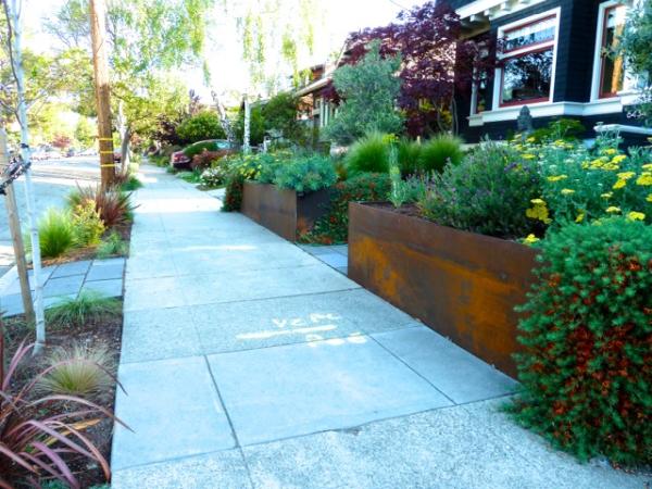 Latitude 37° Landscape + Design