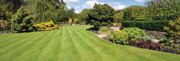 Superior Touch Lawn Care