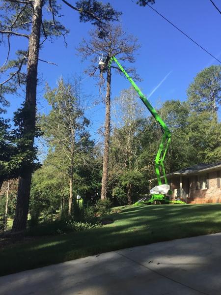 Mighty Fine Tree Care