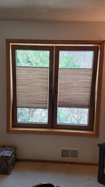 Revision Windows