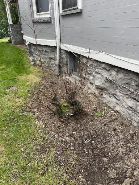 Stump and Grind LLC