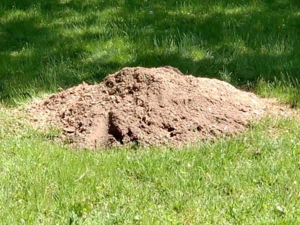 Stump and Grind LLC