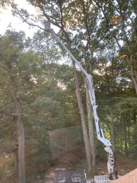 Sandoval Tree Service