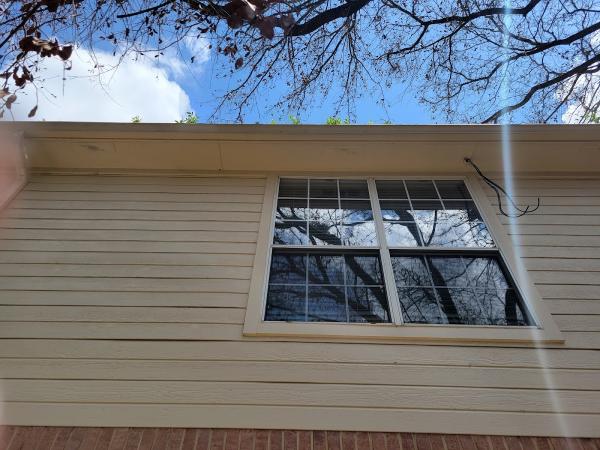 Windows by George