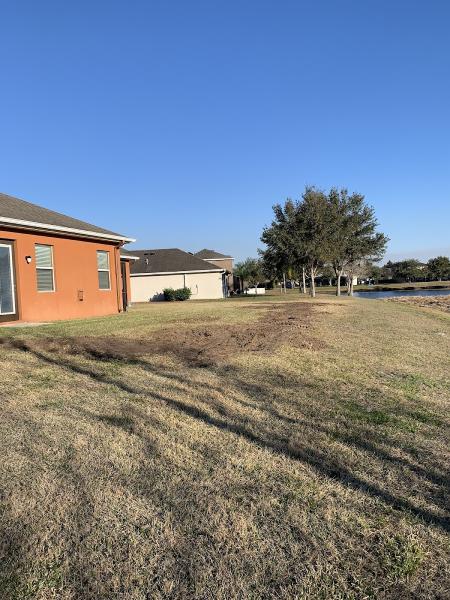 Allpro Tree & Landscaping