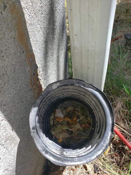 The Drain Doctors