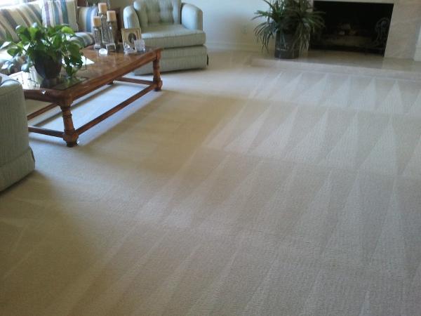 Alaska Dry Carpet
