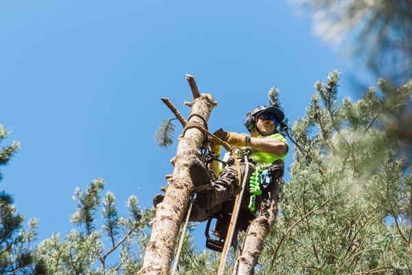 Durkin Tree Service