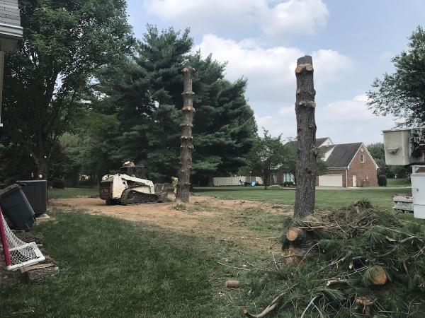 Lamb Tree Service