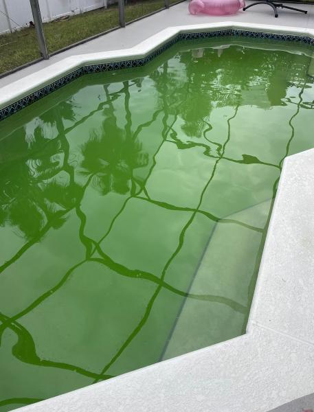 Magical Pools