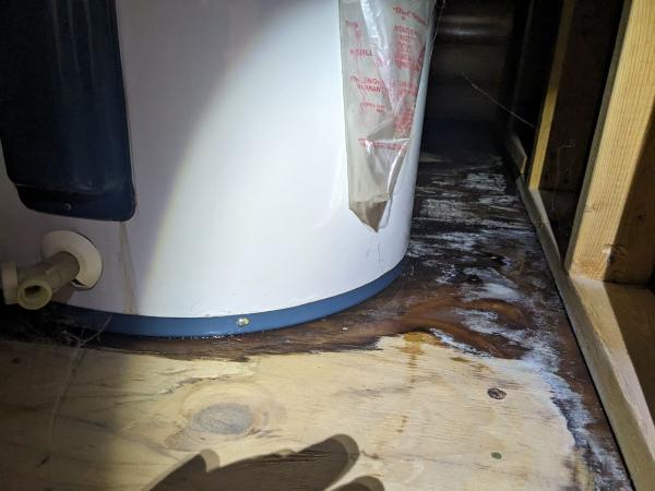 The Christopher Company Water Damage Restoration
