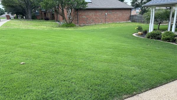 Bob Short's Lawnenvy