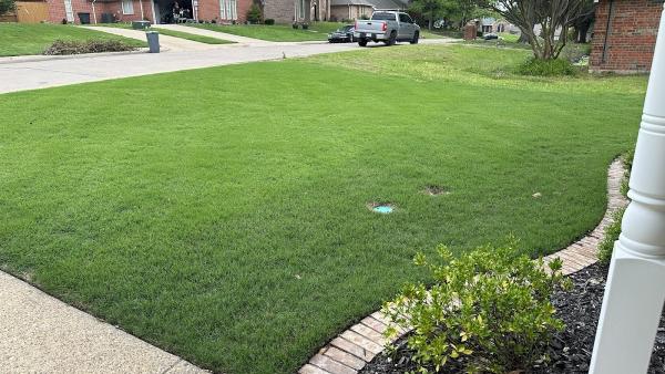 Bob Short's Lawnenvy