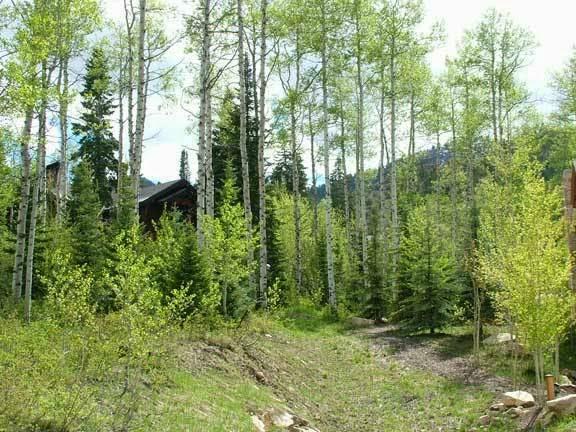 Organic Tree Services