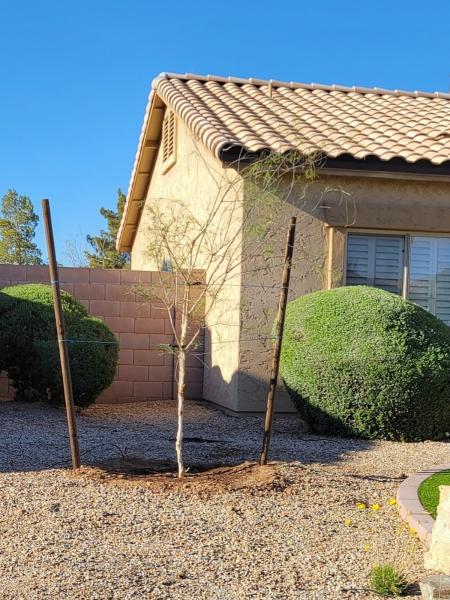 Heartwood Tree Care