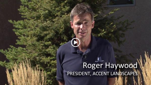 Accent Landscapes