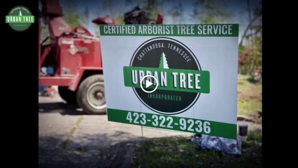 Urban Tree Inc.