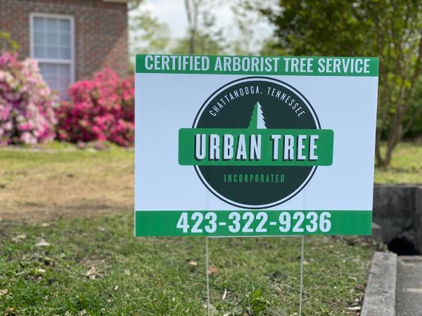 Urban Tree Inc.