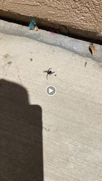 Source Pest Control