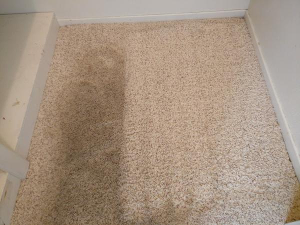 Eco Pro Cleaning Solutions
