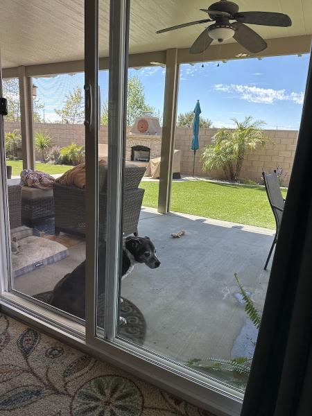 Revive Window Cleaning