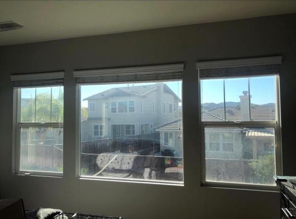 Revive Window Cleaning