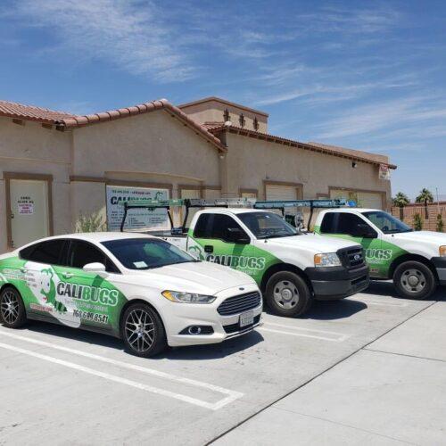 Calibugs Termite & Pest Control