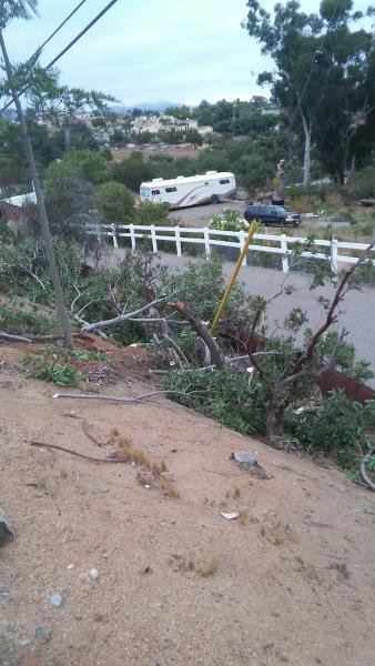 Jamul Real Estate