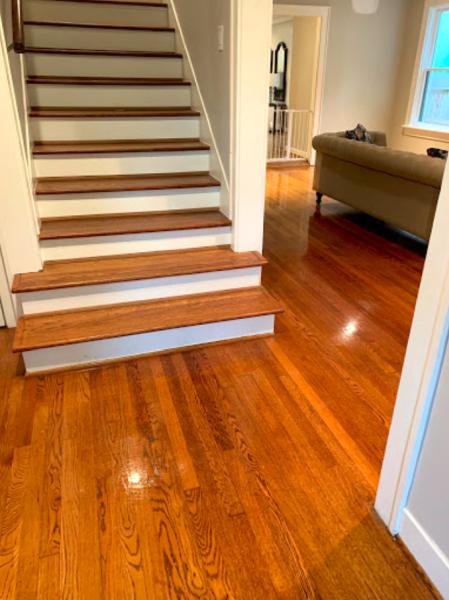 Professional Cleaning Services