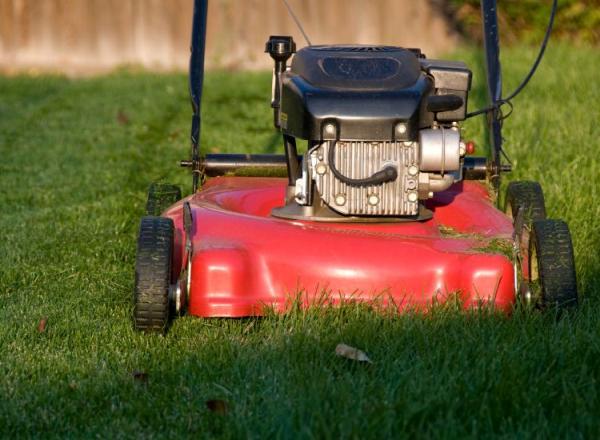 Green Lawns Solutions