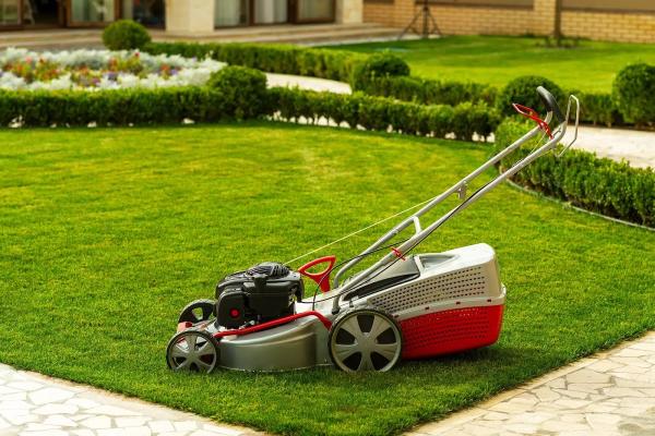 Green Lawns Solutions