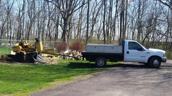 Backwoods Tree Service