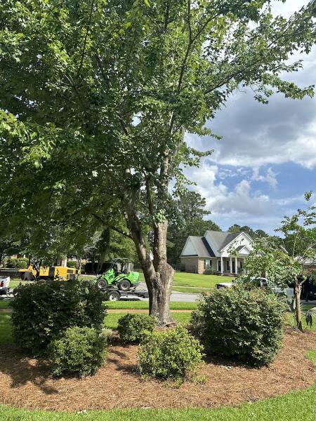 Kelley Tree Service
