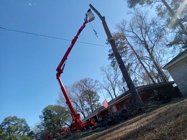 Kelley Tree Service