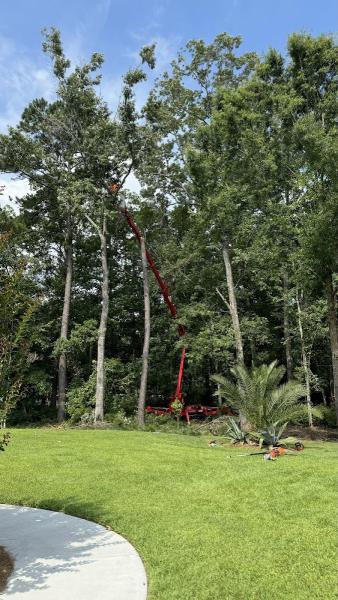 Kelley Tree Service