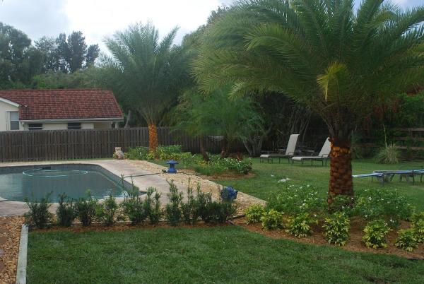 North Lauderdale Lawn Care & Landscaping Inc.
