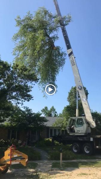 K&G Tree Service