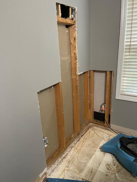 Professional Restoration Services