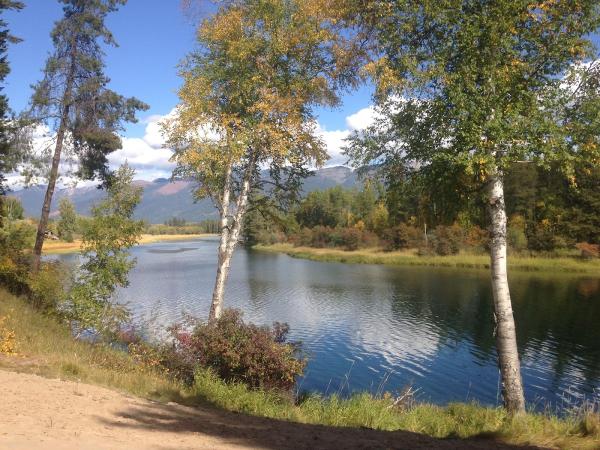 Flathead Tree and Landscape