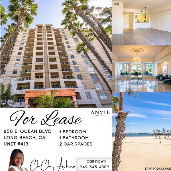 Chichi Achara Orange County Realtor